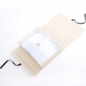 Bosca bronntanais leabhar saincheaptha