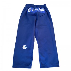 saincheaptha bjj ginkids bjj éide \\\\ t