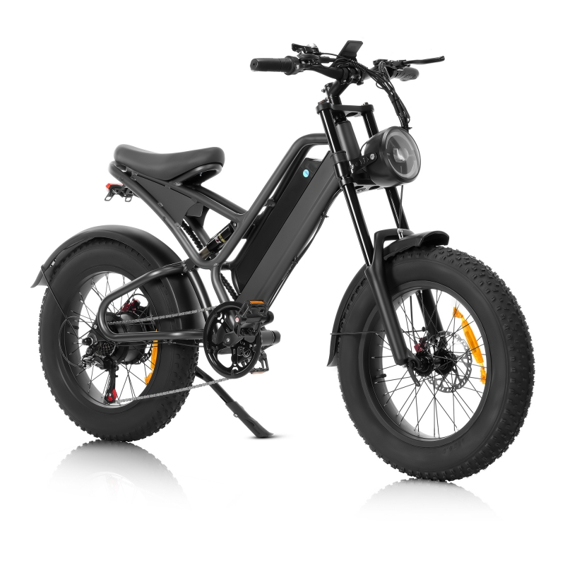 Rothar leictreach bonn saille 20inch