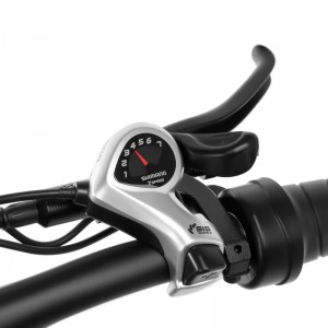 Rothar leictreach bonn saille 20inch