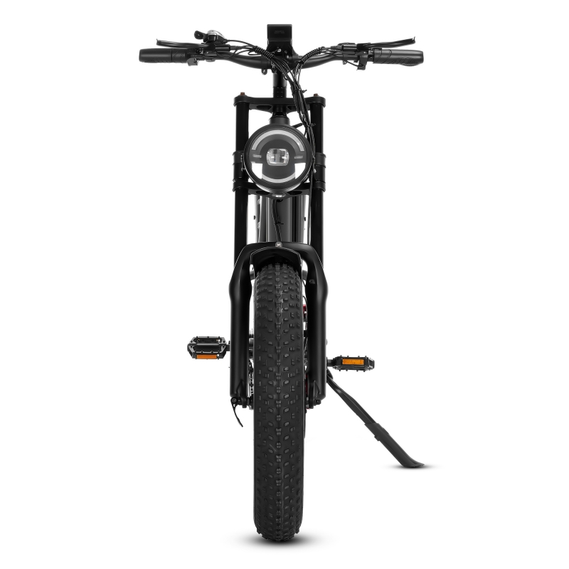 Rothar leictreach bonn saille 20inch