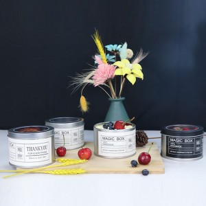 Bosca Císte Musse Babhta Is féidir mórdhíola a dhéanamh mar bhosca pacáistithe bia saincheaptha bosca stáinphláta candy