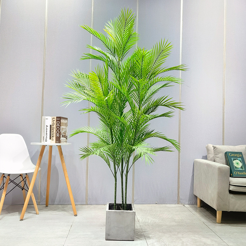 Praghas Monarcha Mórdhíola Areca Palm Dypsis Lutescens Crann Pailme Saorga Incháilithe le Potted