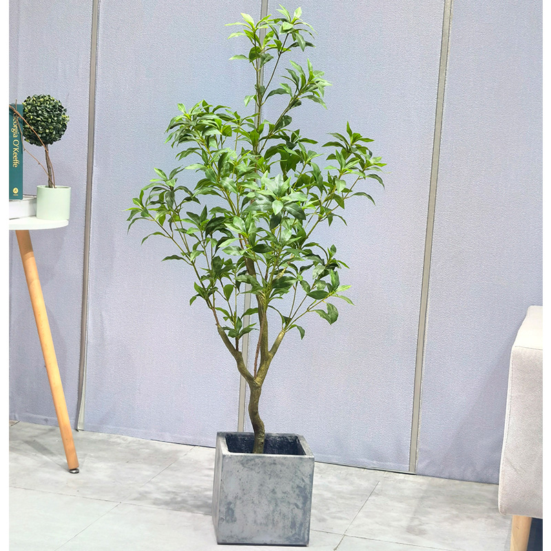 Gléasra Saorga Mórdhíola Beochana Crann Pieris Durable Durable Durable Do Maisiú Bainise Soláthraithe Gairdín Maisiú Allamuigh faoi Dhíon