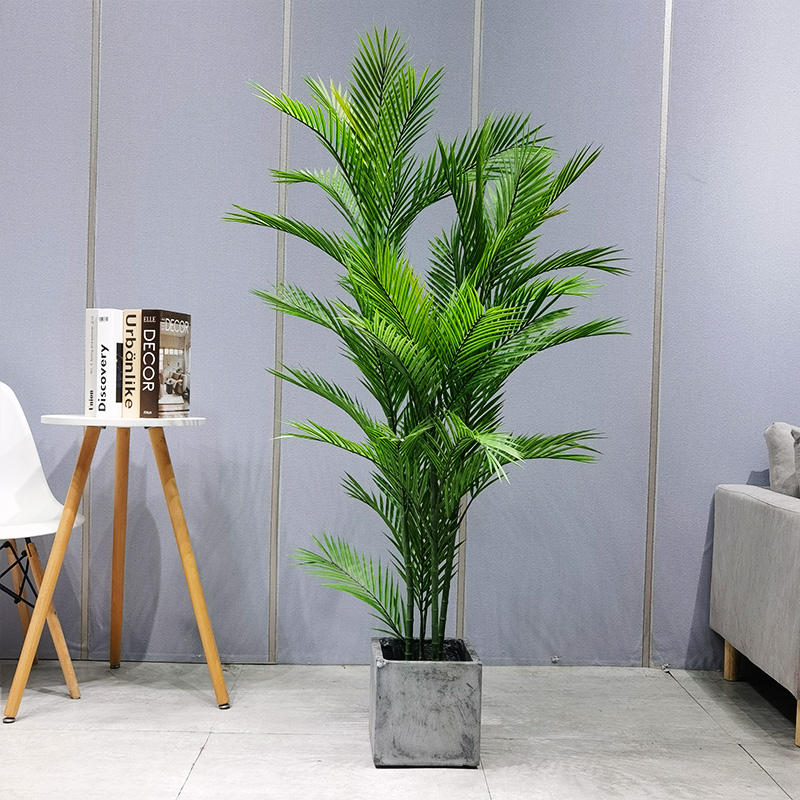 Insamhalta crann pailme allseason sábháilte agusneamhdhíobhálach dypsis lutescens do mhaisiúcháin gairdín soláthróir gairdín maisiúcháin garraíodóireachta