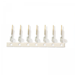 Críochfort bioráin chónascaire