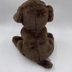 Seacláid donn Labradar Labrador Madraí Madraí Madraí