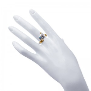 Fáinne cineál snasta Hongde