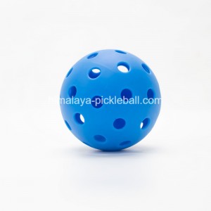 Pickleball 40 poll