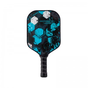 Paddleball pickleball 1B
