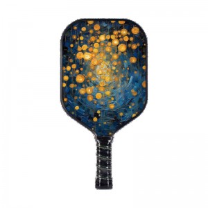 Paddleball pickleball 1B