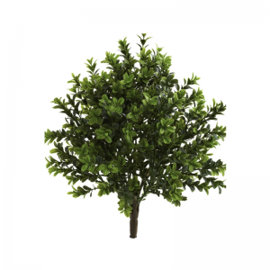 Péinteanna tadhaill fíor(dhíon&amuigh faoin aer)