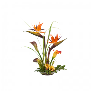 Díoltóirí is fearr