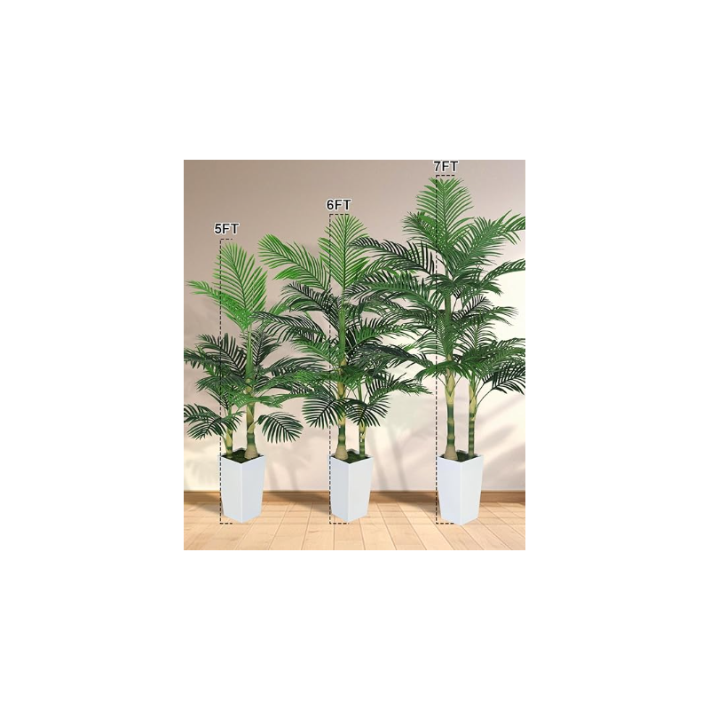 Crainn Palm Canna Órga Dhíon Saorga
