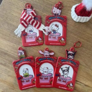 Sealbhóir Cárta PVC