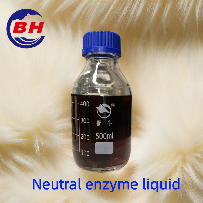 Leacht einsímneodrach H8802