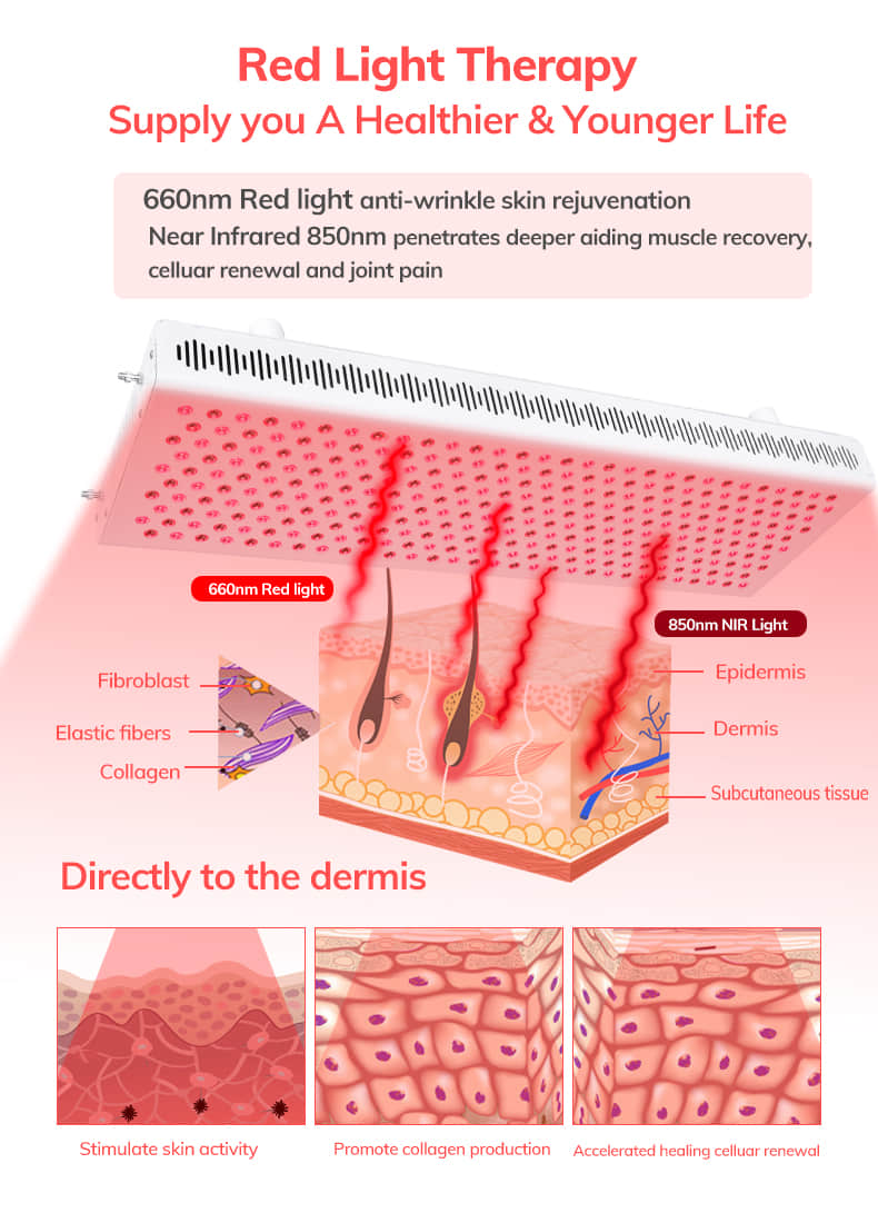 1598248675.jpg rd.jpg